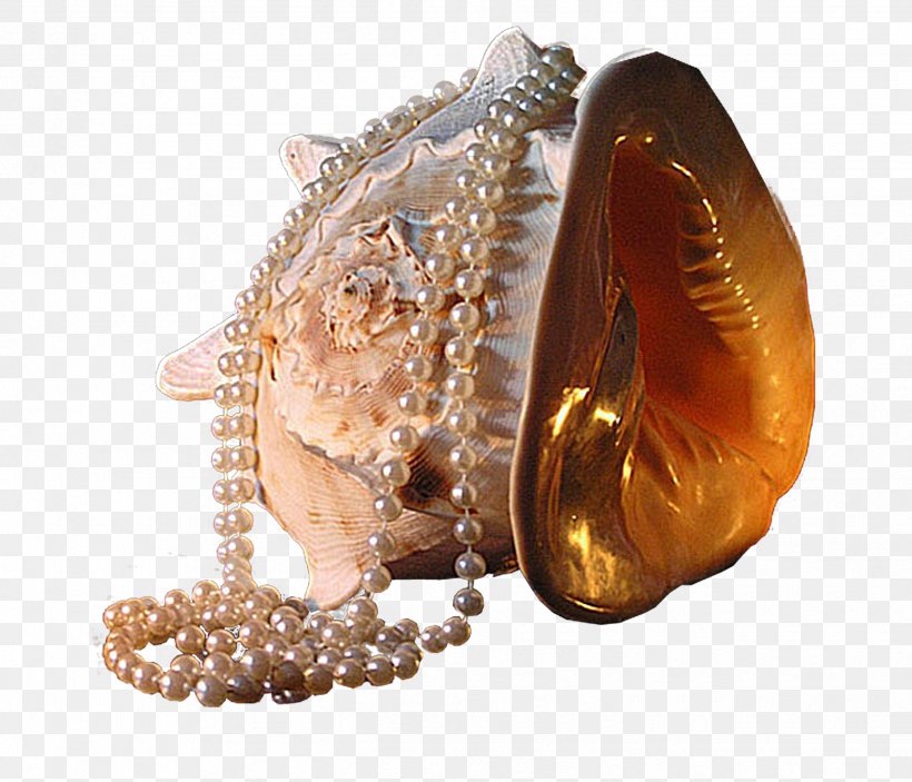 Seashell Pearl Clip Art, PNG, 2477x2124px, Seashell, Digital Image, Gold, Jewellery, Marine Download Free