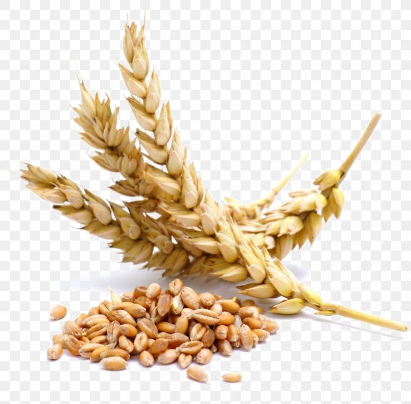 Cereal Wheat Berry Whole Grain, PNG, 1000x984px, Cereal, Avena, Bread, Caryopsis, Cereal Germ Download Free