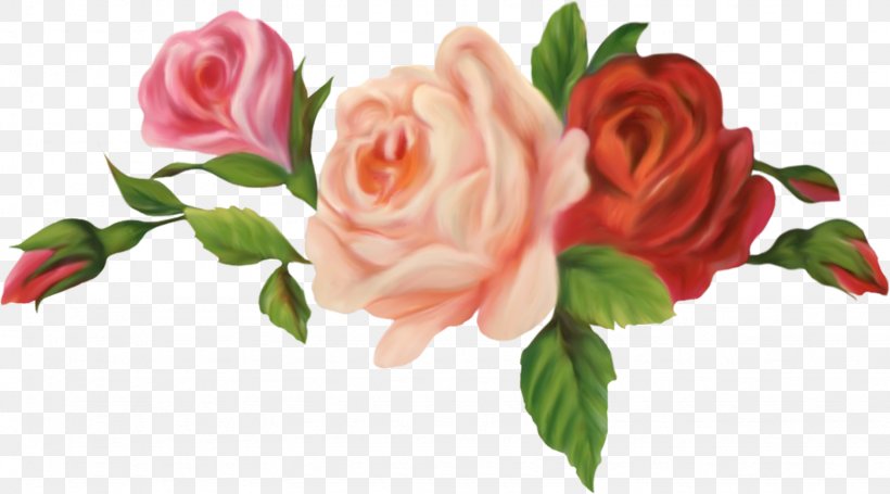 Cut Flowers Garden Roses Centifolia Roses Floristry, PNG, 1536x853px, Flower, Artificial Flower, Centifolia Roses, Cut Flowers, Floral Design Download Free