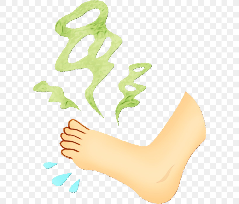 Leg Foot Sole Toe Human Body, PNG, 594x700px, Watercolor, Barefoot, Finger, Foot, Hand Download Free