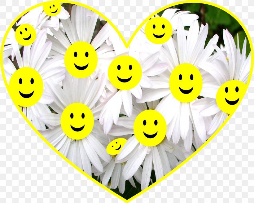 Smiley Idea Love, PNG, 1920x1535px, Smiley, Emoticon, Family, Flower, Grandparent Download Free