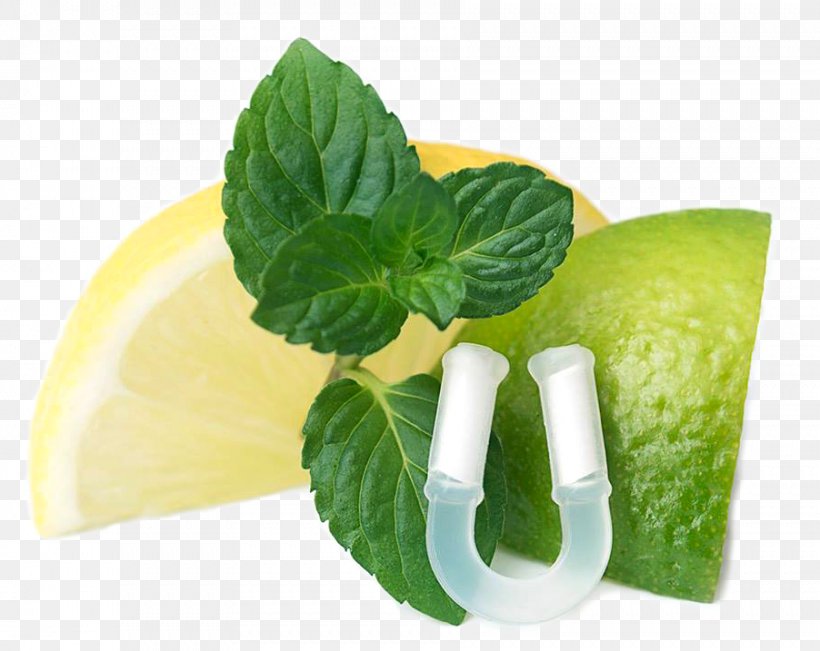 Lime Organic Food Fishpond Limited Lemon, PNG, 902x717px, Lime, Aspiraclip Gmbh, Citric Acid, Citrus, Diet Download Free