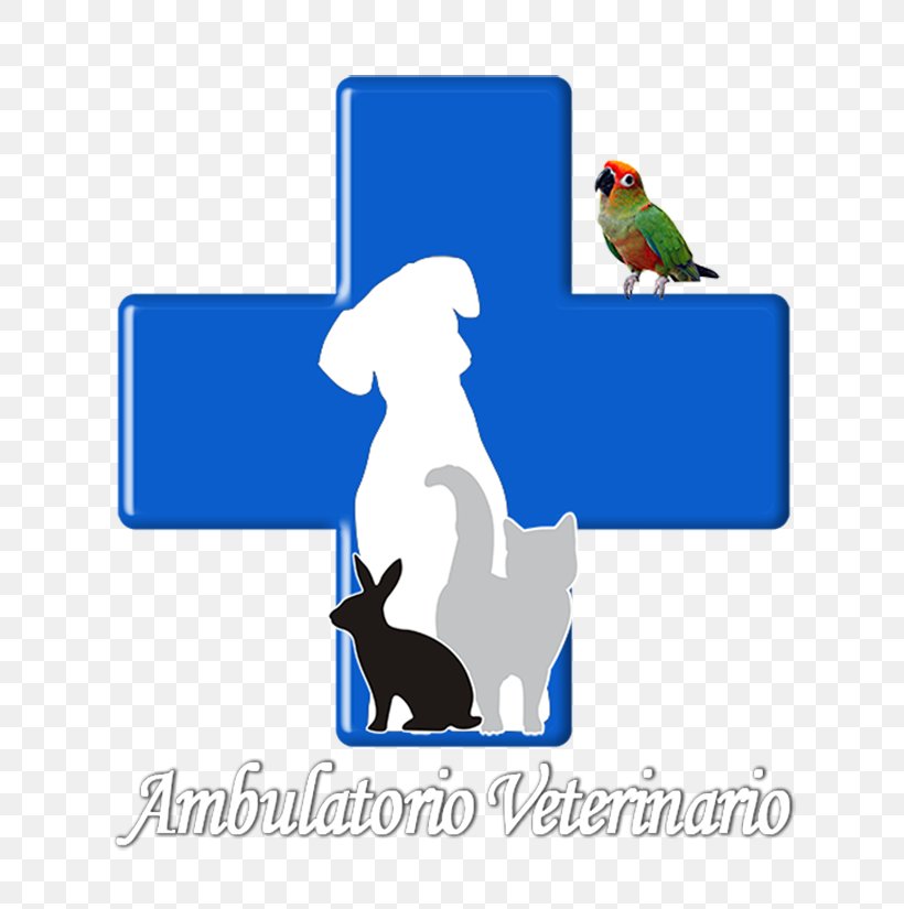 Veterinarian Cat Veterinary Medicine Dog Pet, PNG, 700x825px, Veterinarian, Area, Artwork, Beak, Bird Download Free