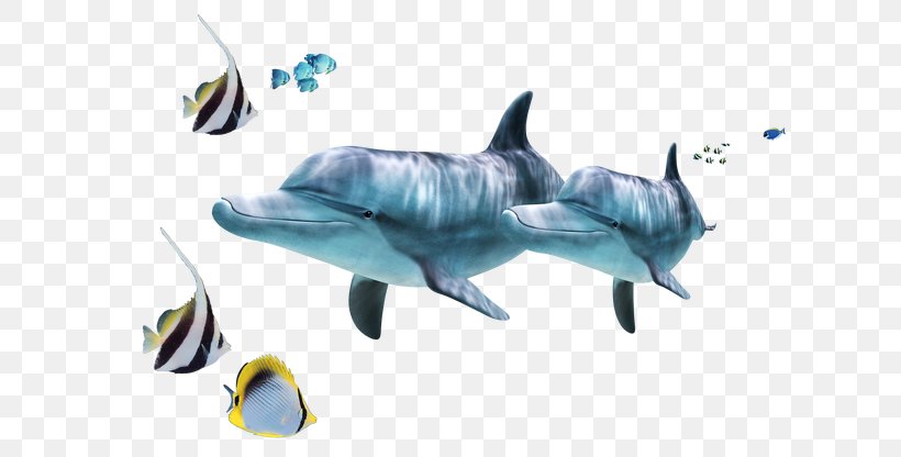 Common Bottlenose Dolphin Tucuxi Marine Biology Ocean Sea, PNG, 650x416px, Common Bottlenose Dolphin, Blue Jellyfish, Deep Sea, Dolphin, Duvet Download Free