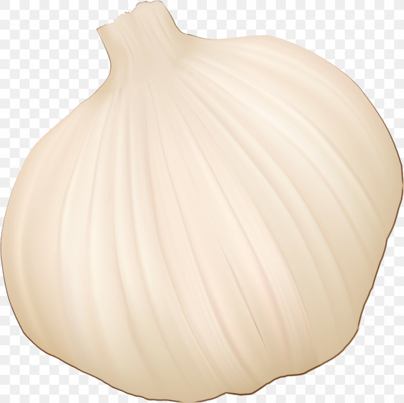 Onion Garlic Vase, PNG, 1066x1063px, Watercolor, Garlic, Onion, Paint, Vase Download Free