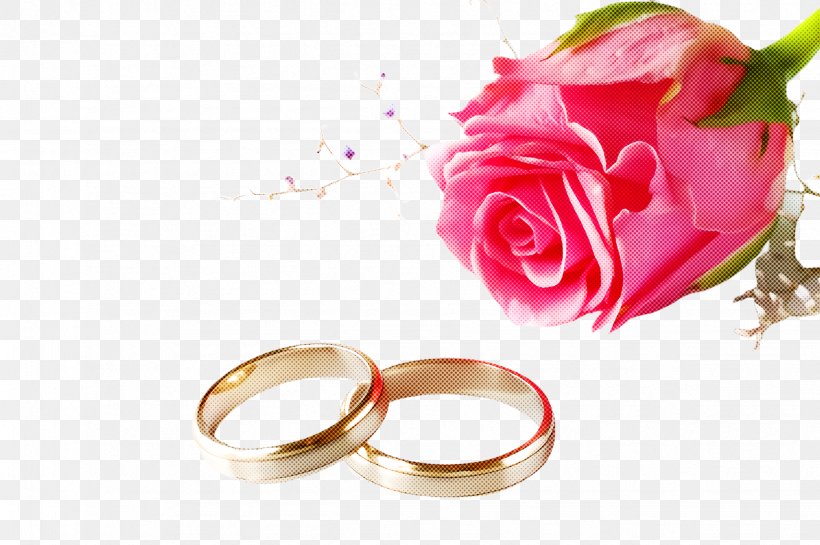Wedding Ring, PNG, 2451x1632px, Pink, Engagement Ring, Flower, Garden Roses, Jewellery Download Free