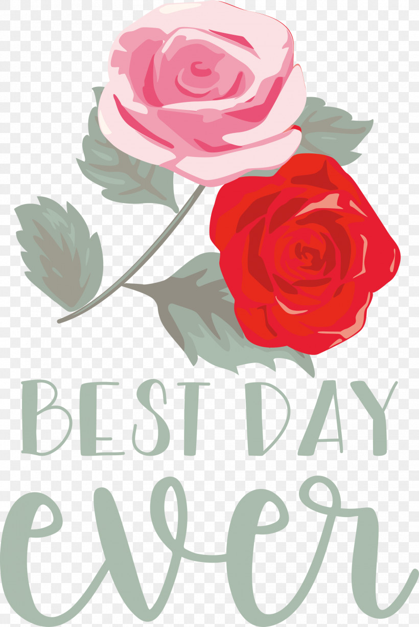 Best Day Ever Wedding, PNG, 2006x3000px, Best Day Ever, Cabbage Rose, Cut Flowers, Floral Design, Flower Download Free