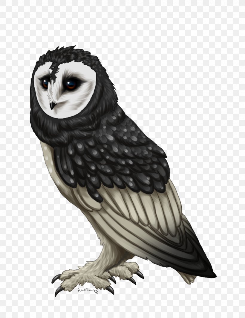 Bird Of Prey Owl Beak Feather, PNG, 1024x1325px, Bird, Animal, Beak, Bird Of Prey, Fauna Download Free