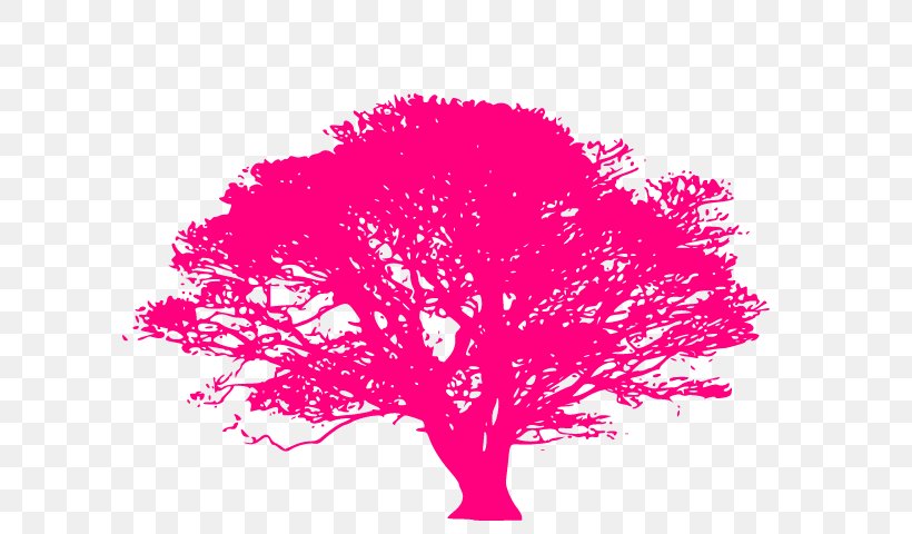 Clip Art Vector Graphics Tree Silhouette Branch, PNG, 640x480px, Tree, Branch, Drawing, Flowering Plant, Magenta Download Free