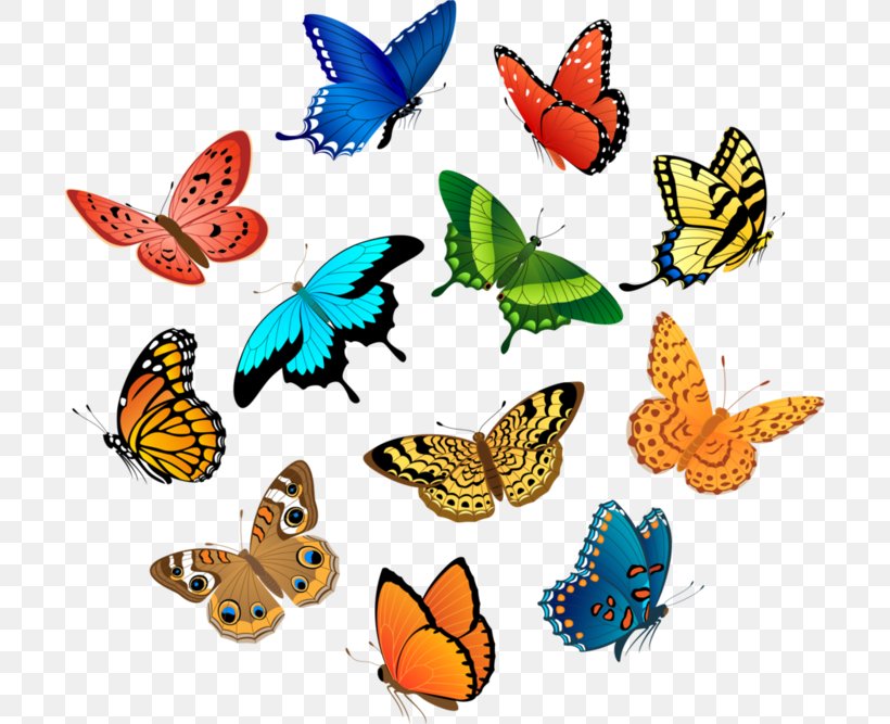Vector Graphics Royalty-free Stock Illustration Insect Stock Photography, PNG, 700x667px, Royaltyfree, Animal Figure, Brushfooted Butterfly, Butterfly, Cynthia Subgenus Download Free