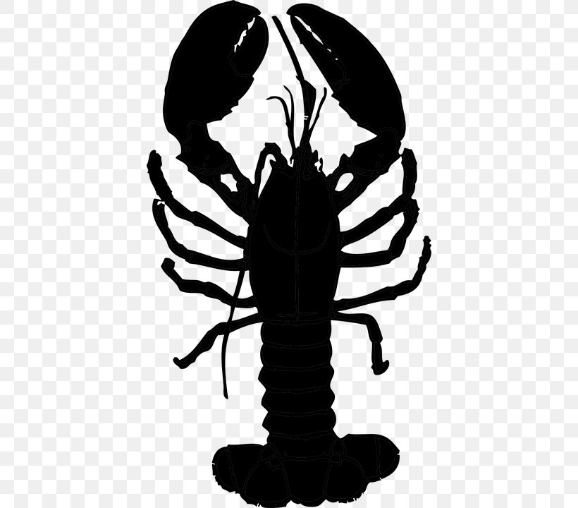 Lobster Royalty-free Clip Art, PNG, 404x720px, Lobster, American Lobster, Black And White, Crayfish, Decapoda Download Free