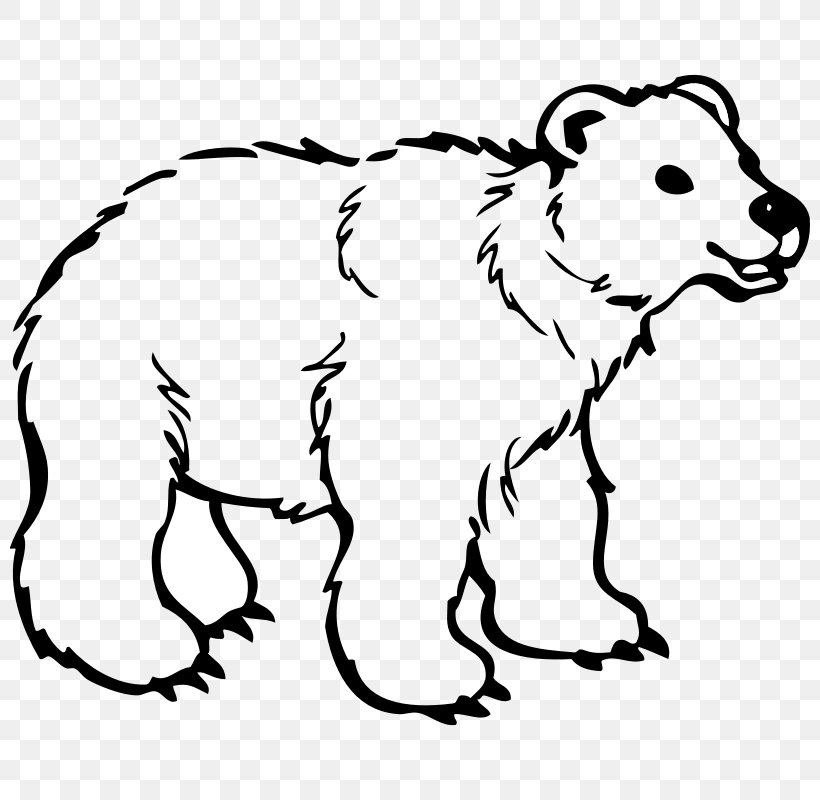 Polar Bear American Black Bear Brown Bear Drawing, PNG, 800x800px, Bear, American Black Bear, Animal Figure, Art, Black Download Free