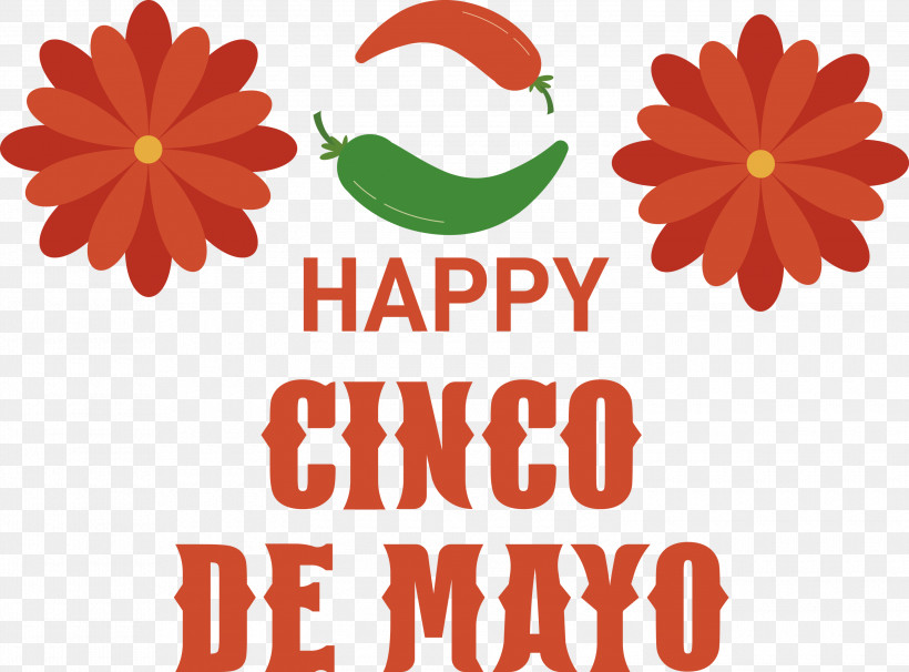 Cinco De Mayo Fifth Of May Mexico, PNG, 3000x2219px, Cinco De Mayo, Biology, Common Daisy, Daisy Family, Fifth Of May Download Free