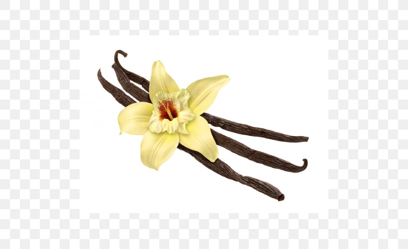 Vanilla Stock Photography Flower Frozen Yogurt Ice Cream, PNG, 500x500px, Vanilla, Cut Flowers, Flavor, Flower, Flowering Plant Download Free