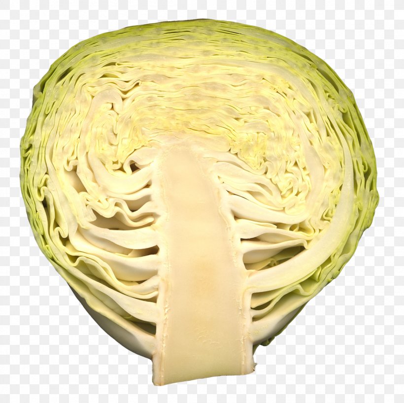 Vegetable Cabbage Futurism, PNG, 1103x1101px, Vegetable, Cabbage, Food, Fruit, Future Download Free