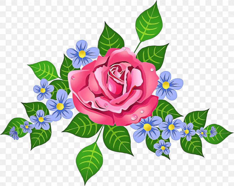 Blue Rose, PNG, 3000x2390px, Flower, Blue Rose, Flowering Plant, Garden Roses, Petal Download Free