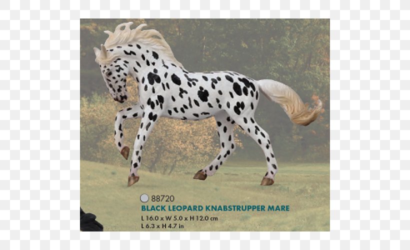 Cheetah Knabstrupper Mare Andalusian Horse Appaloosa, PNG, 500x500px, Cheetah, Andalusian Horse, Animal, Appaloosa, Big Cats Download Free