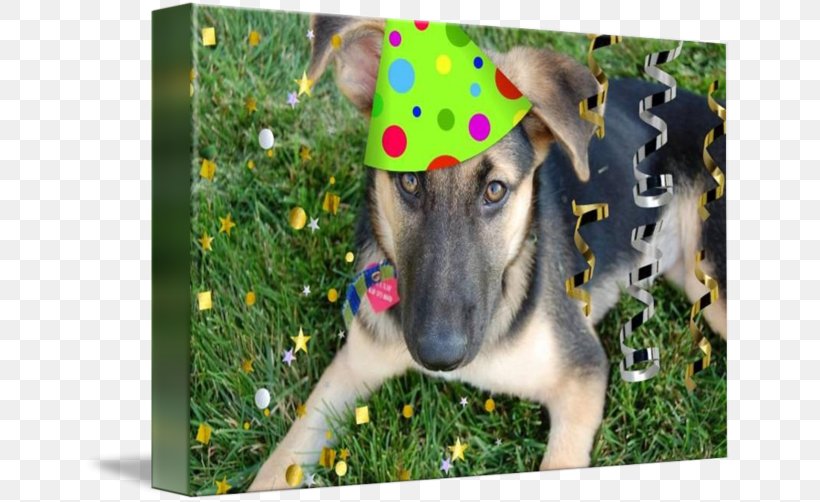 German Shepherd Dog Breed Birthday Party Puppy, PNG, 650x502px, German Shepherd, Animal, Art, Birthday, Breed Download Free