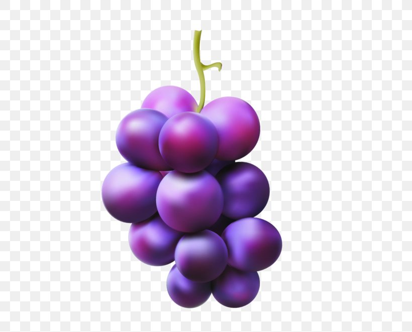 Grape Juice Vector Graphics Image Red Globe, PNG, 600x661px, Grape, Food, Fruit, Grape Leaves, Grape Seed Extract Download Free