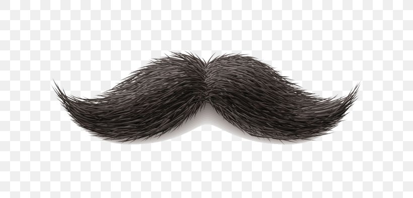 Mustache Cartoon, PNG, 700x393px, Moustache, Barber, Barbers Shop, Beard,  Black Hair Download Free