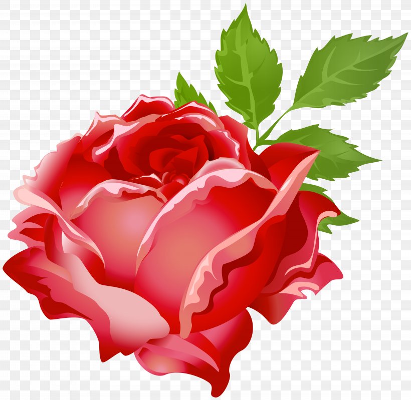 Purple Rose Tom Baxter Clip Art, PNG, 8000x7802px, Rose, Carnation, China Rose, Color, Cut Flowers Download Free
