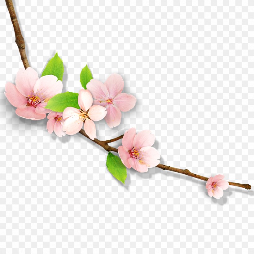 Vector Graphics Image Illustration Plum Blossom, PNG, 1000x1000px, Plum Blossom, Blossom, Branch, Cherry Blossom, Cut Flowers Download Free