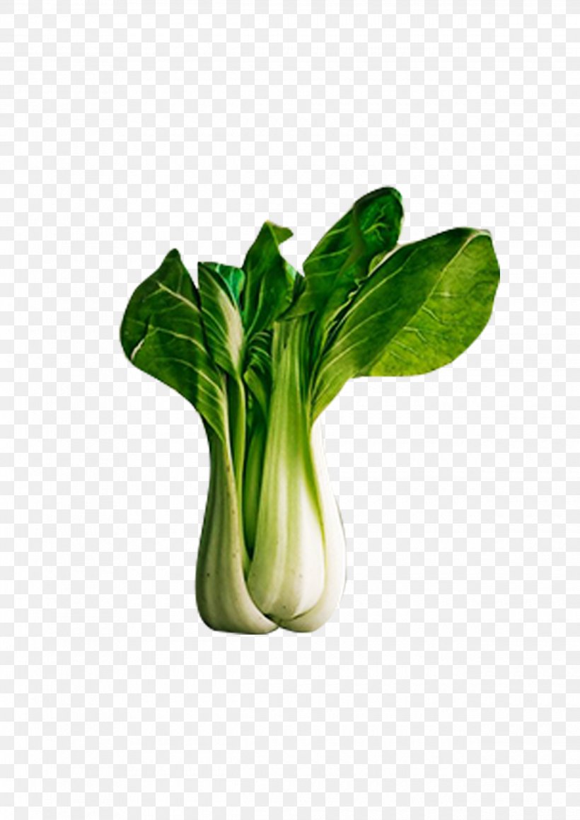 Vegetable Food Napa Cabbage Bok Choy Eating, PNG, 2480x3508px, Watercolor, Cartoon, Flower, Frame, Heart Download Free