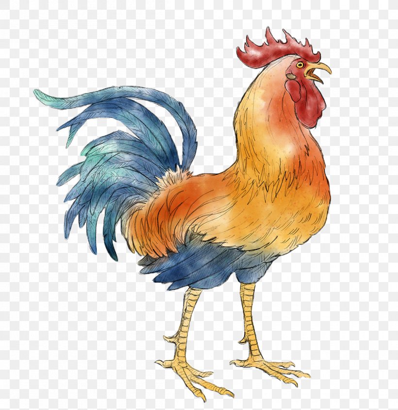 Chicken Rooster Wu Xing Fire Chinese New Year, PNG, 1200x1235px, Chicken, Beak, Bird, Chinese Calendar, Chinese New Year Download Free
