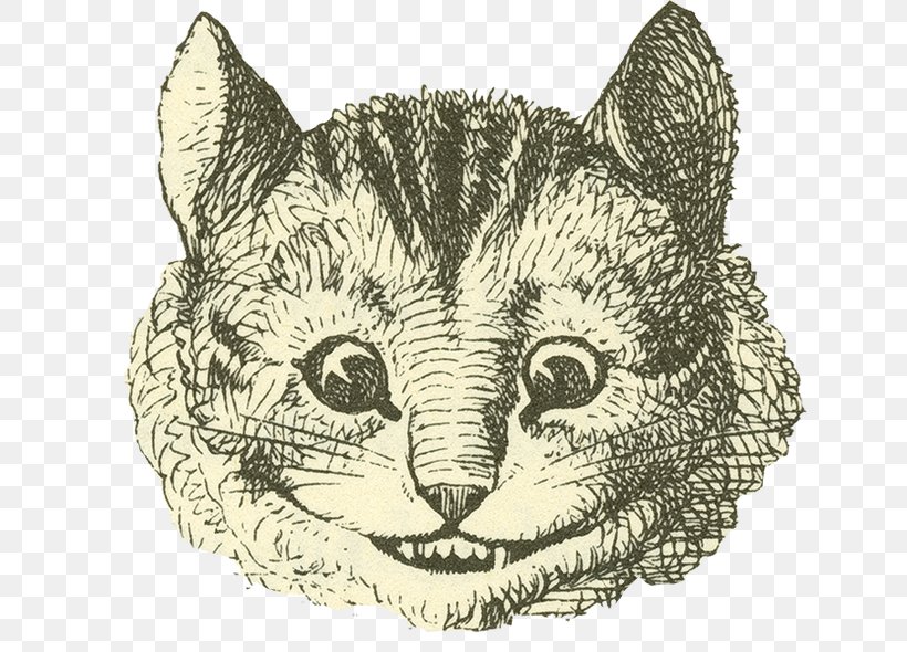 Cheshire Cat Alice's Adventures In Wonderland White Rabbit Mad Hatter, PNG, 676x590px, Cheshire Cat, Alice In Wonderland, Big Cats, Black And White, Book Download Free