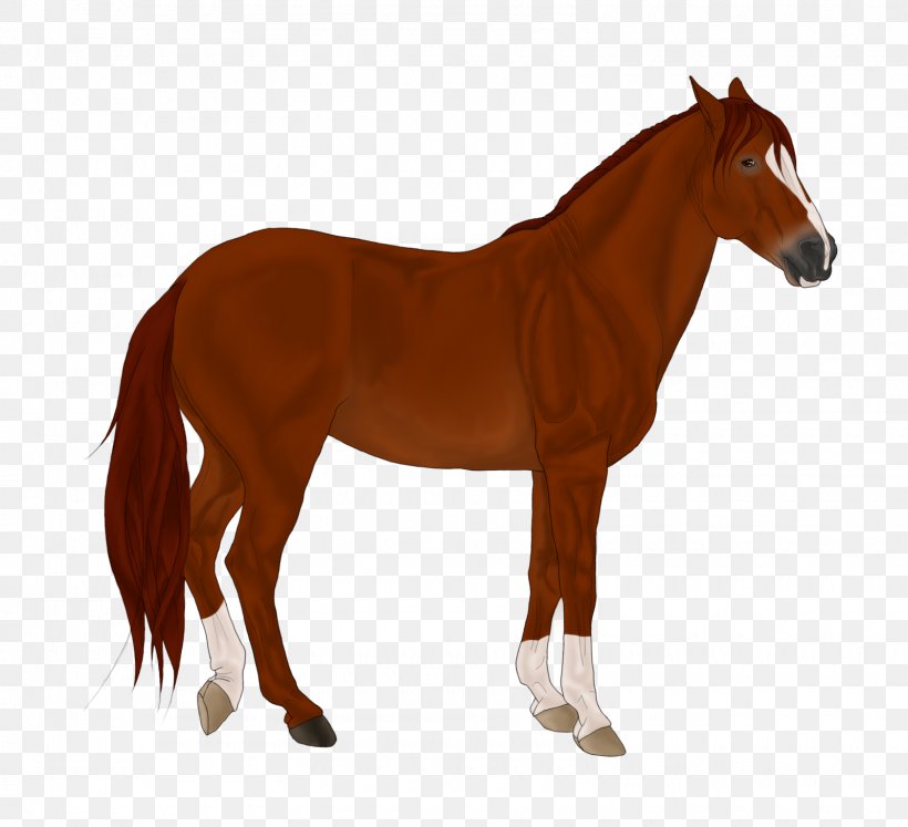 Foal Mane Stallion Mare Colt, PNG, 1600x1459px, Foal, Bridle, Colt, Fauna, Halter Download Free