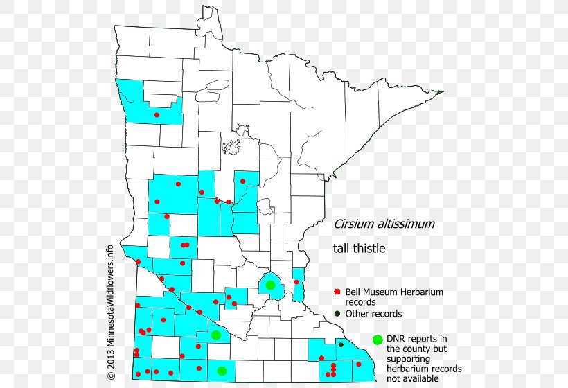 Minnesota Drawing Line Point Angle, PNG, 522x560px, Minnesota, Area, Diagram, Drawing, Land Lot Download Free