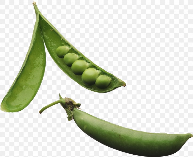 Pea Legume Plant Vegetable Phenotypic Trait, PNG, 2379x1930px, Pea, Allele, Broad Bean, Commodity, Cooking Plantain Download Free