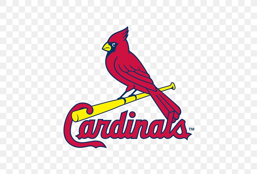 Logos And Uniforms Of The St. Louis Cardinals Busch Stadium MLB Chicago Cubs, PNG, 555x555px, St Louis Cardinals, Area, Art, Artwork, Baseball Download Free