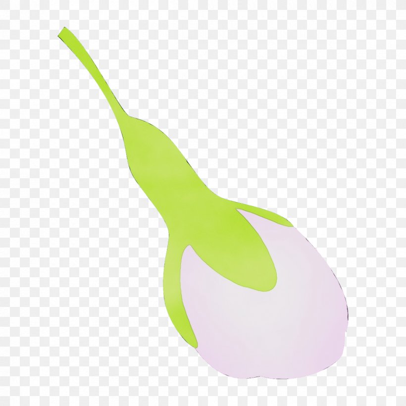 Plant Radish Pear Vegetable Logo, PNG, 1200x1200px, Watercolor, Logo, Paint, Pear, Plant Download Free
