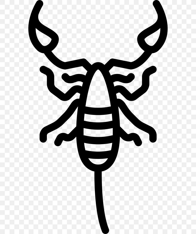 Scorpion Clip Art, PNG, 584x980px, Scorpion, Animal, Artwork, Astrological Sign, Astrology Download Free
