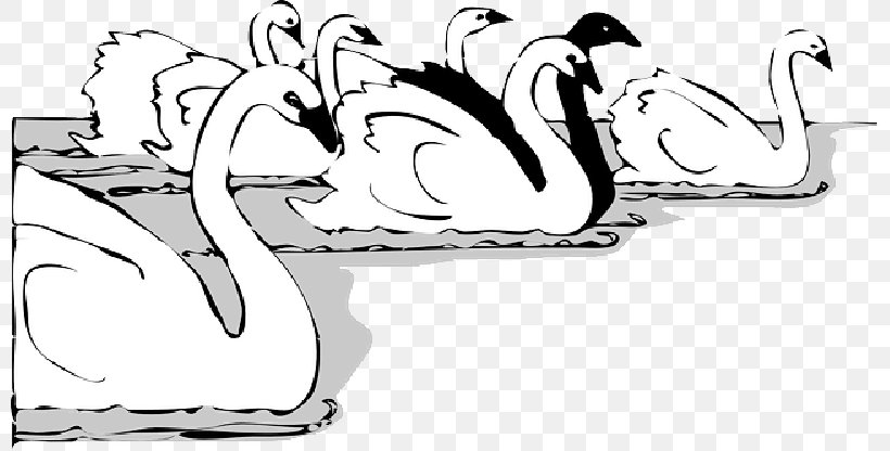 Vector Graphics Clip Art Drawing Bird Mute Swan, PNG, 800x416px, Drawing, Bird, Line Art, Logo, Mute Swan Download Free