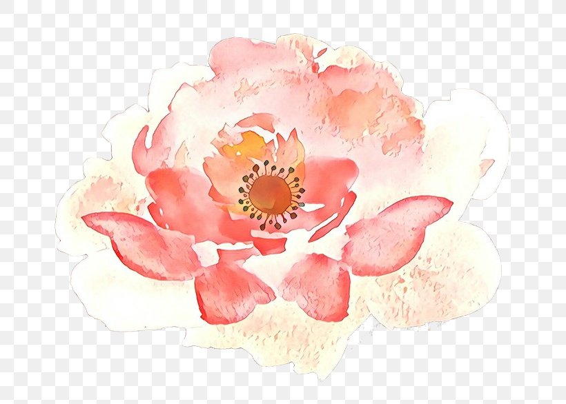Watercolor Pink Flowers, PNG, 700x586px, Floral Design, Anemone, Chinese Peony, Common Peony, Cut Flowers Download Free