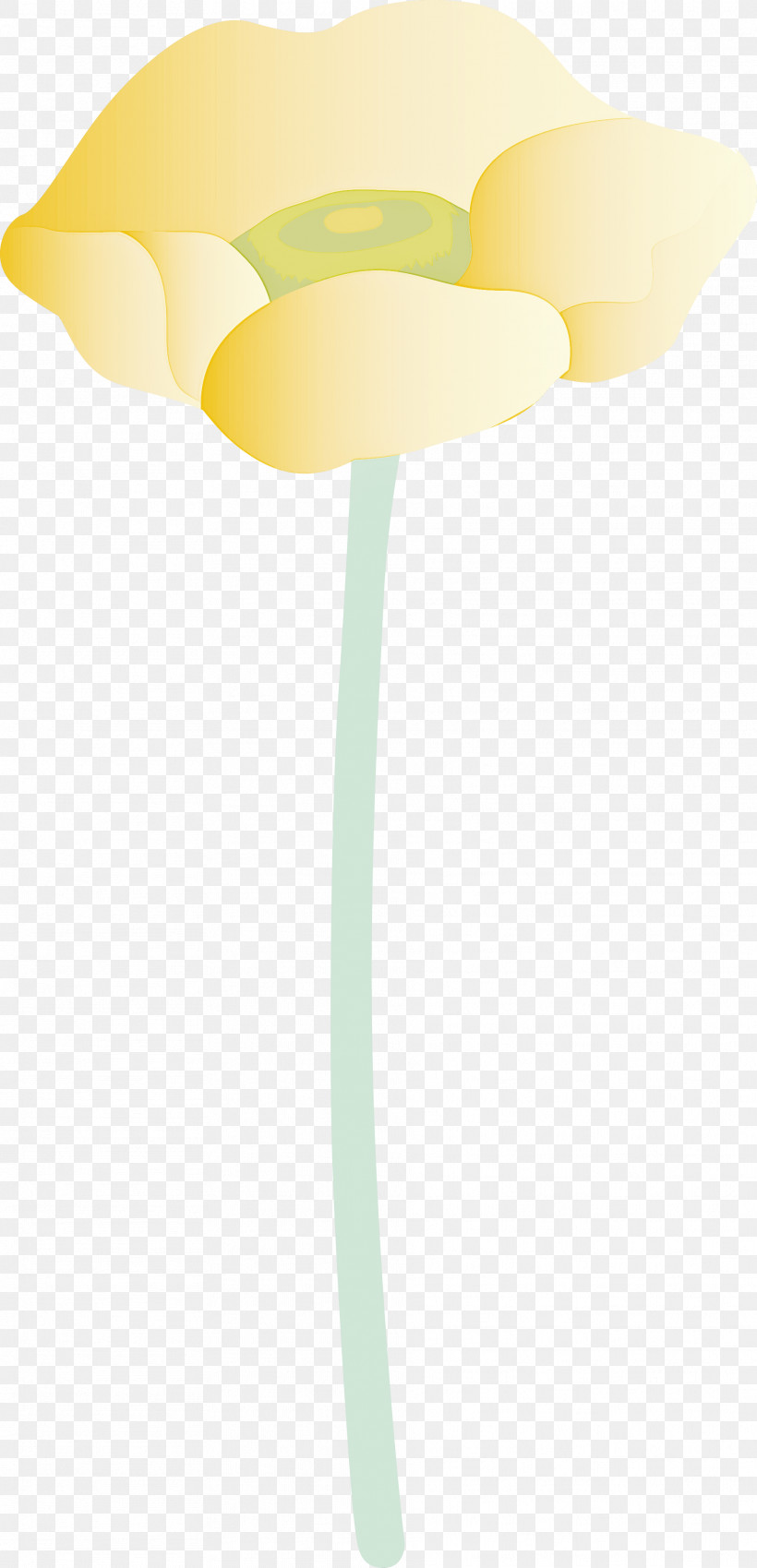 Yellow Plant Lamp Plant Stem Flower, PNG, 1872x3879px, Yellow, Arum Family, Flower, Lamp, Light Fixture Download Free