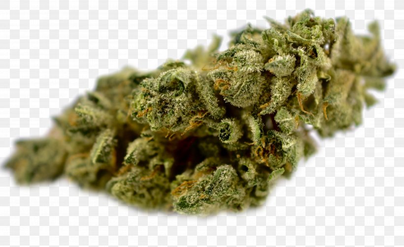 Cannabis Cup Drug Medical Cannabis Kush, PNG, 4781x2933px, Cannabis, Cannabis Cup, Cannabis Sativa, Cannabis Shop, Dispensary Download Free