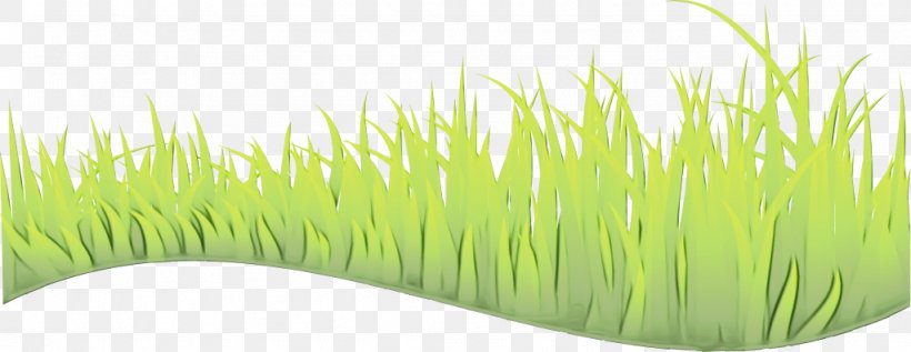 Green Grass Background, PNG, 1024x397px, Watercolor, Chrysopogon, Commodity, Grass, Grass Family Download Free