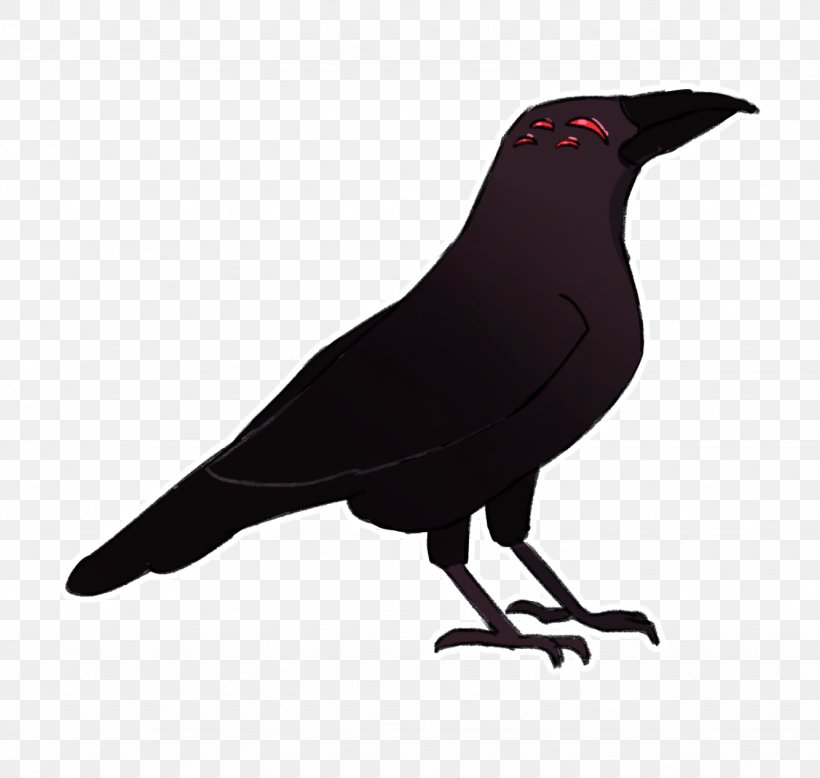 American Crow New Caledonian Crow Bird Common Raven, PNG, 1334x1266px, American Crow, Attitude, Beak, Bird, Common Raven Download Free