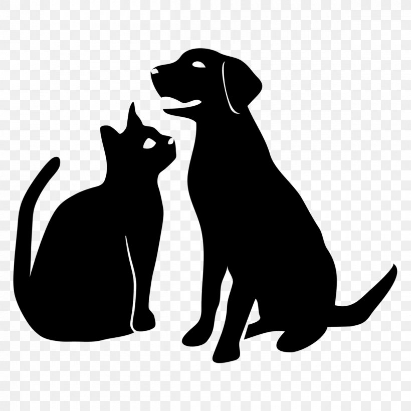 Dog Cat Pet Veterinarian Puppy, PNG, 1200x1200px, Dog, Animal, Black, Black Cat, Blackandwhite Download Free