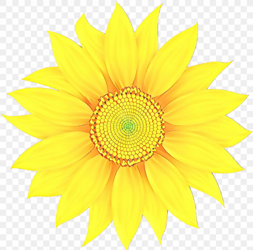 Sunflower, PNG, 1199x1187px, Sunflower, Cut Flowers, Flower, Gerbera, Petal Download Free
