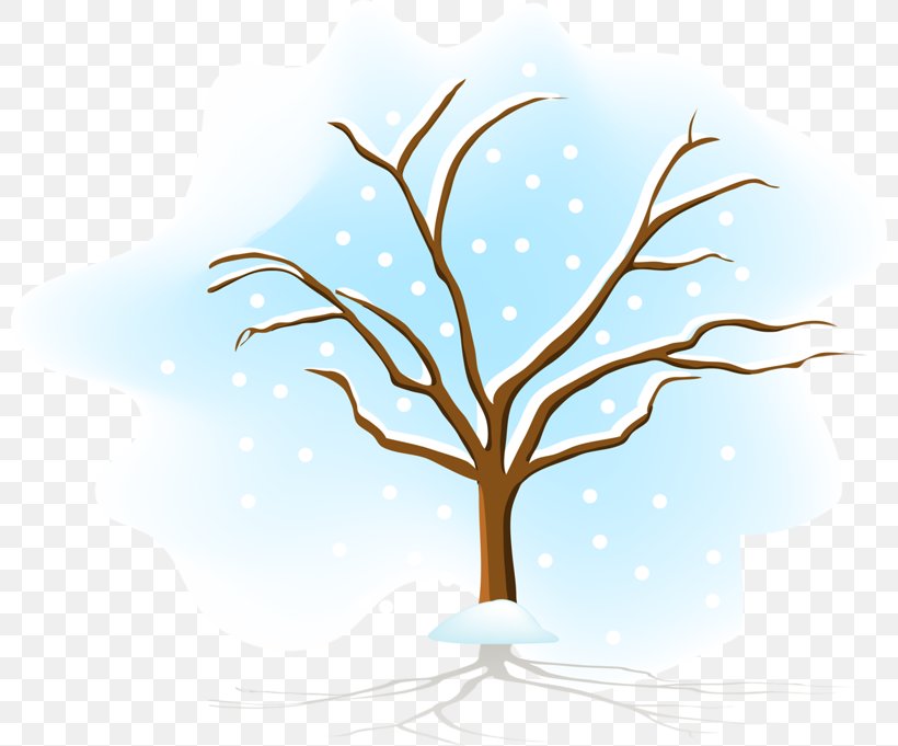 Vector Graphics Season Image Tree, PNG, 800x681px, Season, Autumn, Branch, Drawing, Plant Download Free