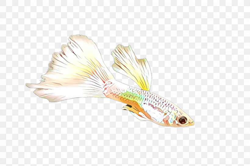 Yellow Fishing Lure Spoon Lure Tail Bait, PNG, 2448x1632px, Yellow, Artificial Fly, Bait, Fishing Lure, Spoon Lure Download Free