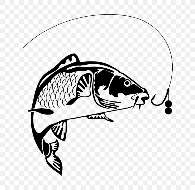 Carp Fishing Common Carp, PNG, 800x800px, Fish, Art, Artwork, Automotive Design, Black Download Free