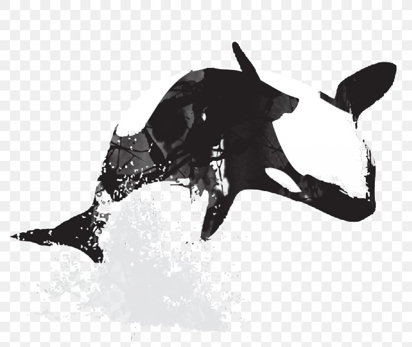 Killer Whale Cetacea Art Drawing, PNG, 800x690px, Killer Whale, Art, Black, Black And White, Cetacea Download Free