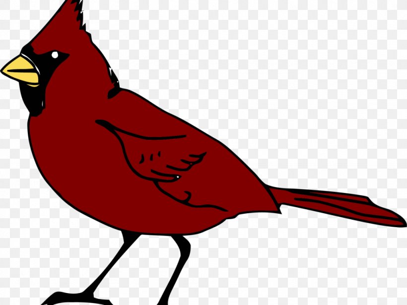 Bird Northern Cardinal Clip Art, PNG, 1024x768px, Bird, Artwork, Beak, Black And White, Cardinal Download Free