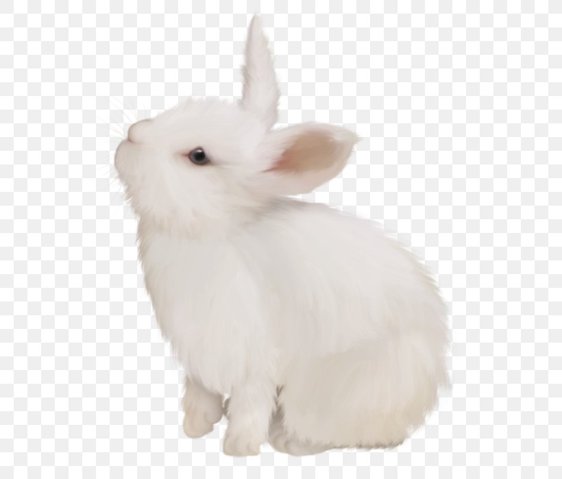Domestic Rabbit White Rabbit Hare, PNG, 554x699px, Domestic Rabbit, Easter Bunny, Fur, Hare, Plush Download Free