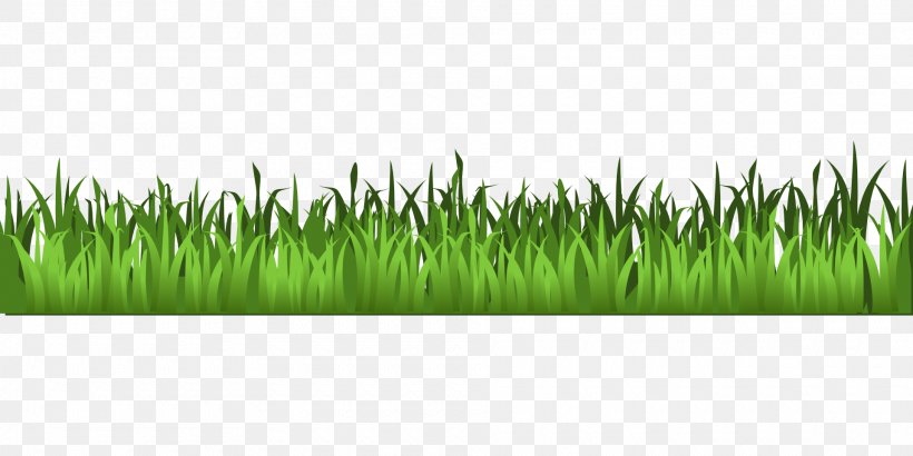Lawn Clip Art, PNG, 1920x960px, Stock Photography, Drawing, Grass, Grass Family, Green Download Free